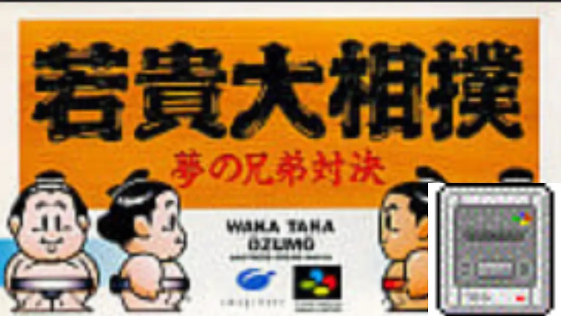 若貴大相撲 夢の兄弟対決